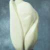 A  FLOWER
9" W x 19" H
Portuguese Marble
