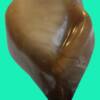BIRD OF PARADISE
14" W x 23" H
Beige/Brown Agate
